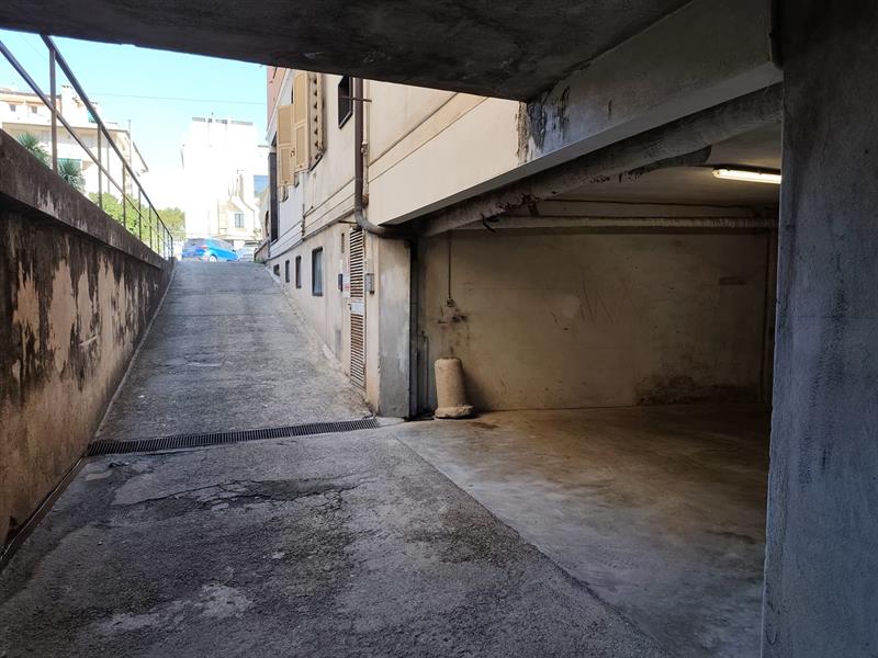 Ingresso
