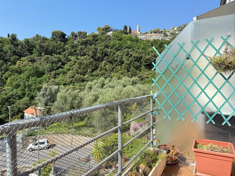 Vista collina